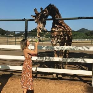 Meet your Posher, Tram